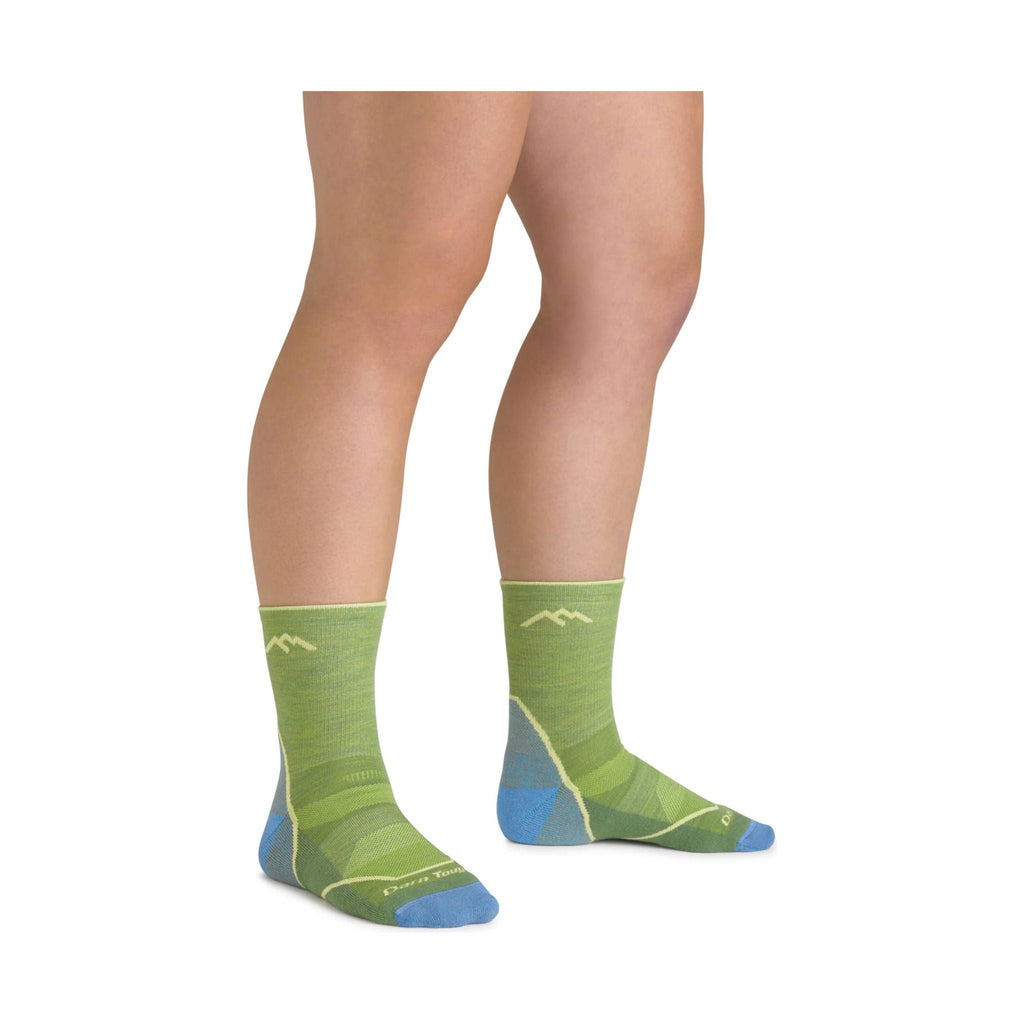 Darn Tough Vermont Kids' Light Hiker Micro Crew Lightweight Hiking Sock - Willow - Lenny's Shoe & Apparel