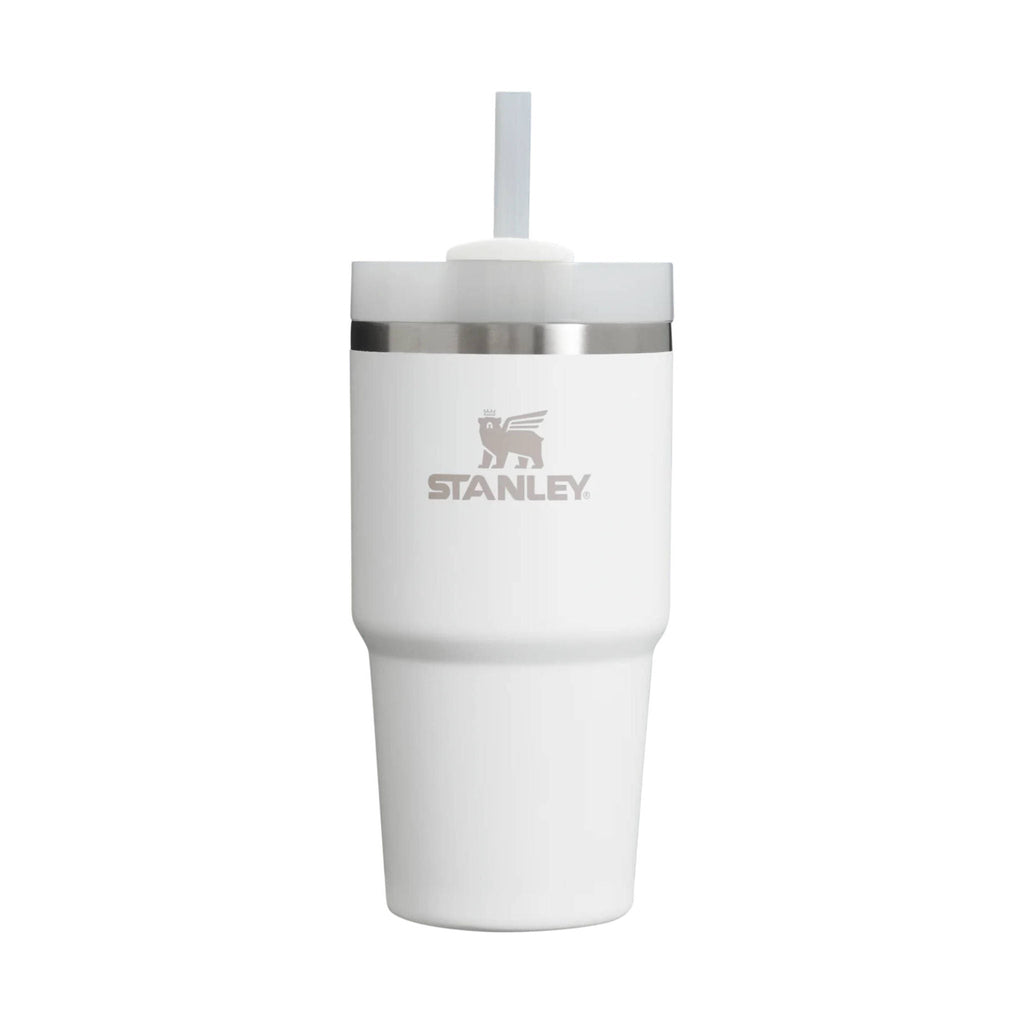 Stanley The Quencher H2.0 Flowstate Tumbler 20 oz - Frost - Lenny's Shoe & Apparel